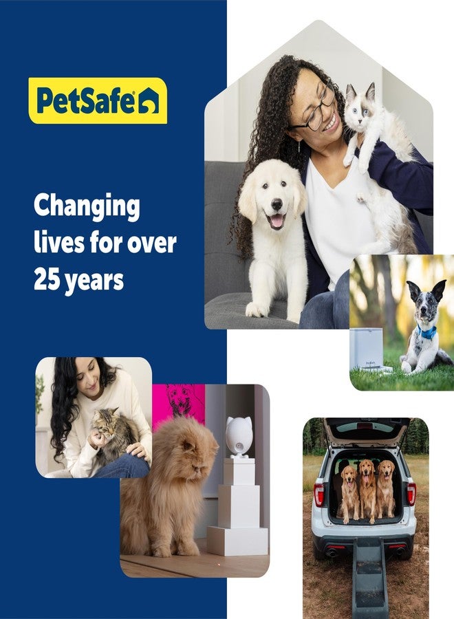 بيت سيف طوق PetSafe KeepSafe للكلاب - يحمي من حوادث الطوق - يدوم طويلاً - متين - قابل للتعديل - مزود بقفل أمان - آمن للاستخدام الخارجي - متوسط - عرض 1 بوصة - أحمر - Image 4